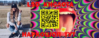 прущие грибы Канаш
