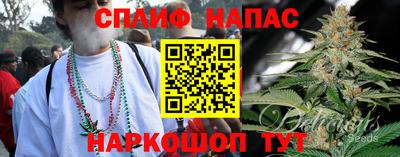 прущие грибы Канаш