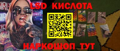 ПСИЛОЦИБИНОВЫЕ ГРИБЫ Кандалакша
