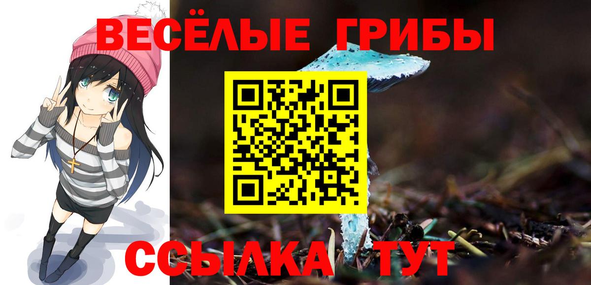 Галлюциногенные грибы GOLDEN TEACHER  Галлюциногенные грибы MAGIC MUSHROOMS  хочу   Вход с VPN  Урус-Мартан 