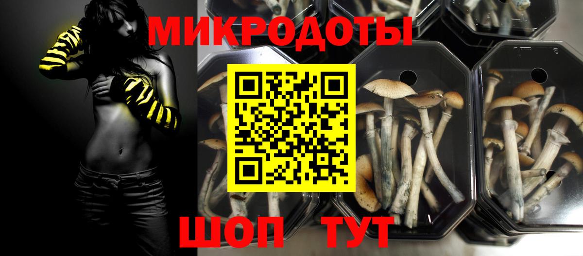 Галлюциногенные грибы GOLDEN TEACHER Урус-Мартан